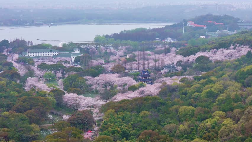Aerial View of the Yuantouzhu Scenic Area of Taihu Lake in Wuxi, Jiangsu Province, China
