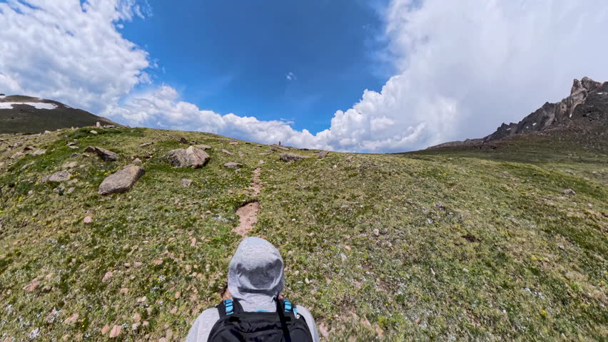 Bull Moose Eats in Sheep Lakes In Rocky Mountain National Park