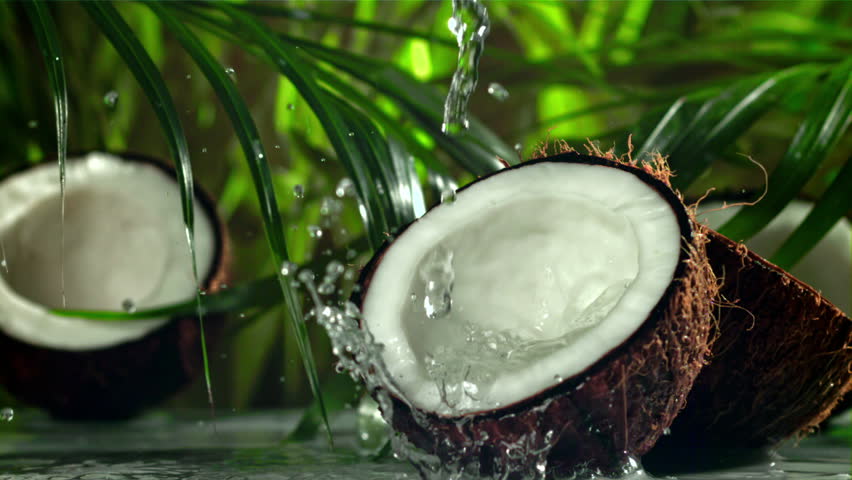 Coconut with splashes of water. Filmed on a high-speed camera at 1000 fps. High quality FullHD footage