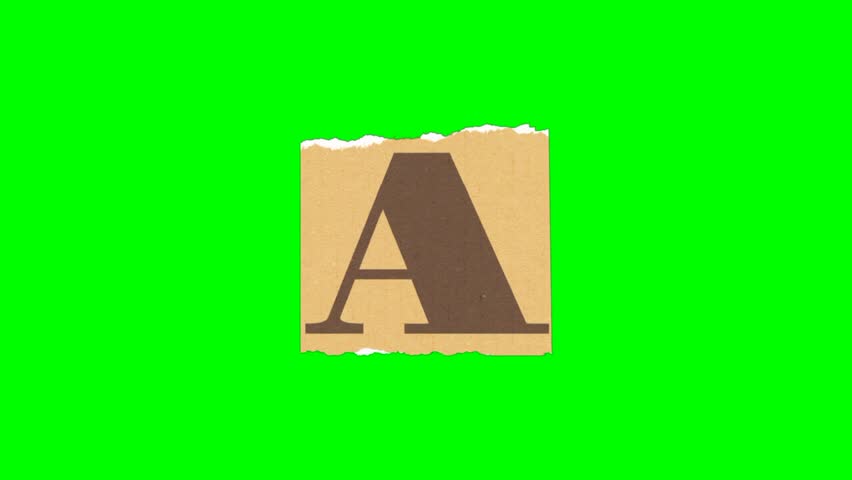 Shutterstock Video