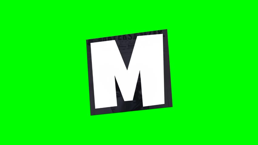 Shutterstock Video