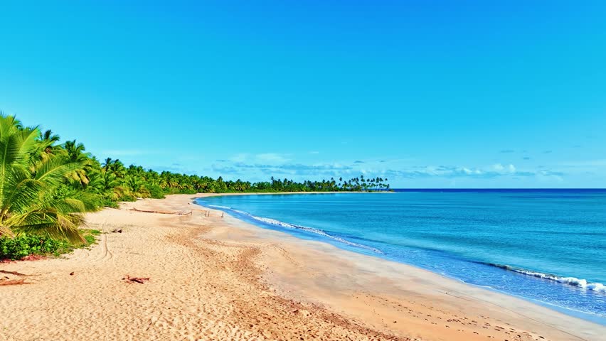 Palm sand beach with blue ocean and blue sky. Summer seascape background. Blue waves on yellow sand. Vacation and holiday concept. Coconut palm trees on Caribbean tropical island.