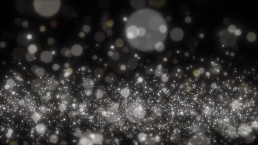 Shutterstock Video