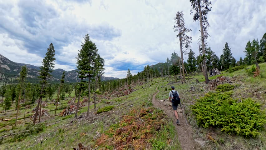 Man Hikes on trail through Little Horseshoe Park In Rocky Mountain National Park