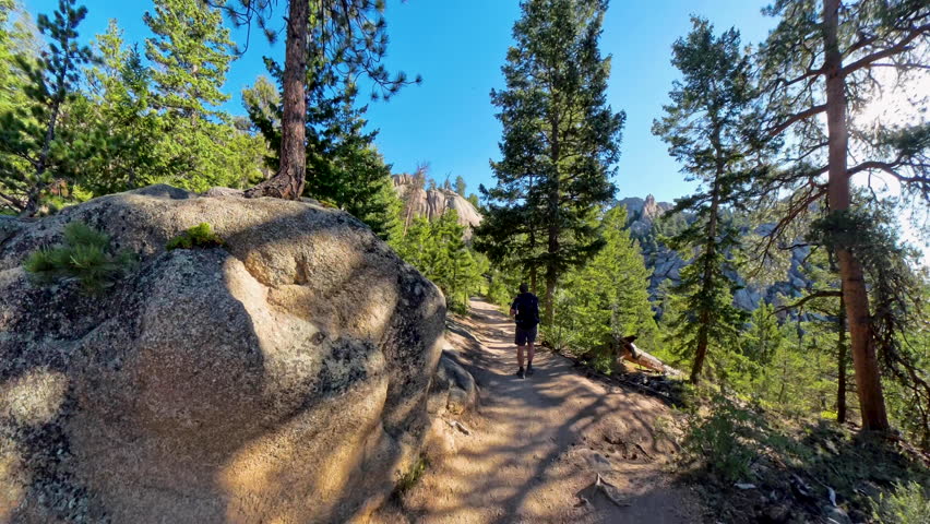 Man Hikes on Wide Dirt Trail Through Lumpy Ridge In Rocky Mountain National Park