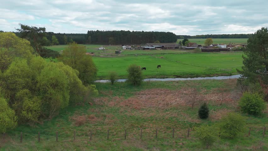 Green fields, a stream, and horses at Little Lodge Farm near Santon Downham