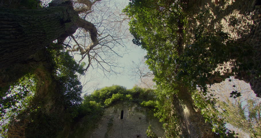 tilting down shot looking up the bell tower of the derelict Saint Mary