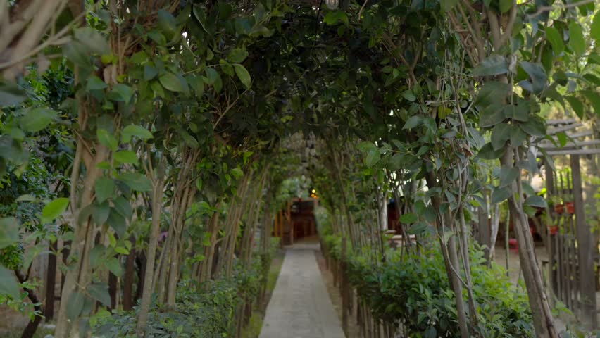 Plant-covered arches lead to a wooden bench in the garden of a Mexican restaurant in Comitán