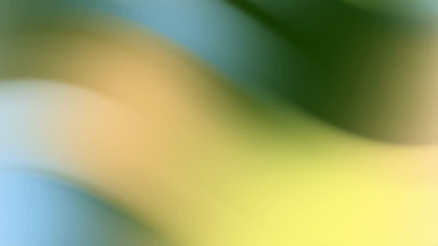 Shutterstock Video