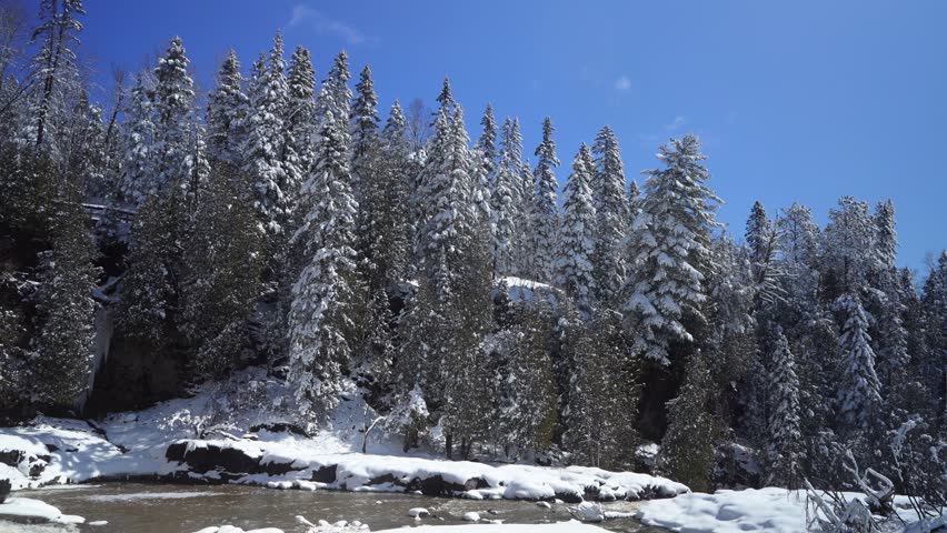 Snow-covered Pines With Rocky Frozen Ground And Flowing River In Winter Forest. static shot