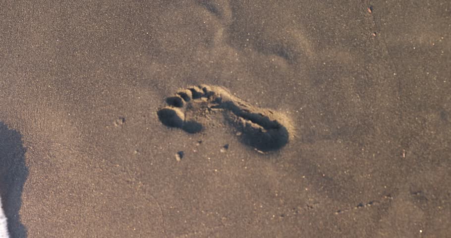Gentle ocean waves gradually remove footprint from wet golden sand. Light breeze creates relaxing atmosphere on sandy beach on summer day