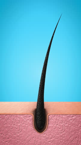 Nourishing Oil Treatment for Healthy Hair