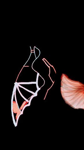 Photo edited illustration of a mermaid 