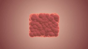 Virus Multiplication Inside Human Cells - Powered by Shutterstock - Get 15% off with code: PIKWIZARD15