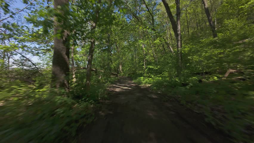 A fast, exciting flight down a forest hiking trail. The sun is shining on a spring day.