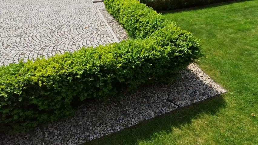 cut squares of flowerbed edging in a historic garden made of boxwood hedges. courtyard of castle along cobblestone path row of squares frozen ice, snowing  evergreen topiary, ivy, creeper, above, top