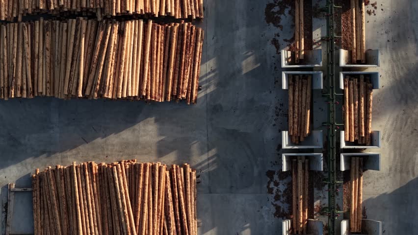Aerial view of sorted timber logs at a lumber yard with metal dividers and concrete surface, illustrating industrial forestry and wood processing operations.