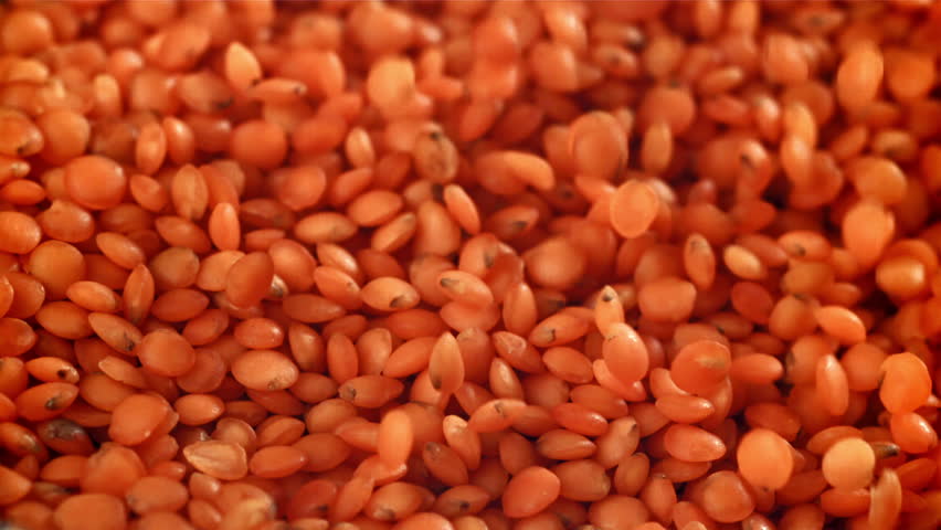 Falling lentil seeds. Filmed on a high-speed camera at 1000 fps. High quality FullHD footage