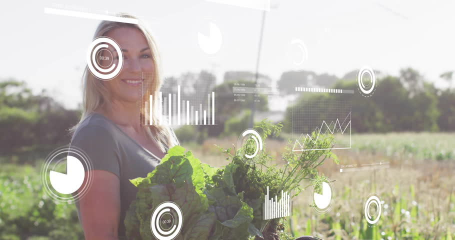 Mature female farmer holding vegetable basket in field, with data graphs floating across farm map. Agriculture, sustainability, technology, eco-friendly, harvest, outdoor, innovation