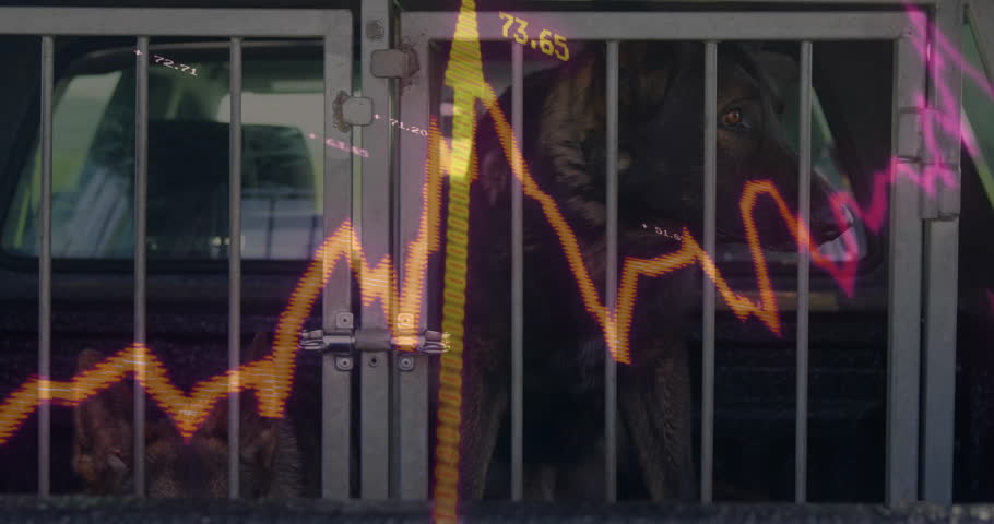 Flat design German Shepherd dogs sitting behind cage bars in truck bed, showing stock chart overlay. Canine, transportation, security, industrial, alert, confinement, commercial