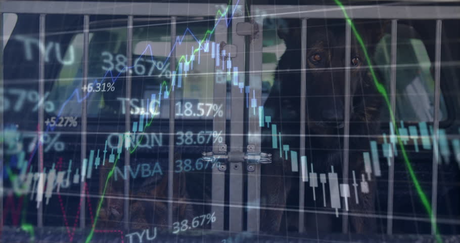 Metal cage door being shown before two dark dogs inside cargo area, overlaying stock chart details. Security, confinement, finance, technology, transportation, stability, data