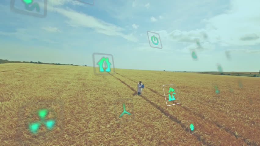 Mature man standing on tractor tracks in wheat field, viewing floating renewable energy icons. Sustainability, environment, innovation, eco-friendly, monitoring, rural, futuristic