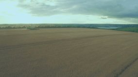 Golden wheat field stretching to horizon with social media bubbles floating above combine harvester. Agriculture, rural, machinery, harvest, industry, network, connectivity - Powered by Shutterstock - Get 15% off with code: PIKWIZARD15