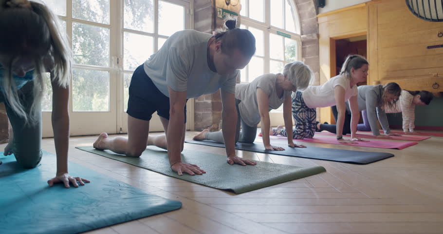 Yoga class, stretching and group with arch back for health and wellness or holistic exercise. Women and men together at zen club for mindfulness breathing, workout and healing or muscle relax on mat