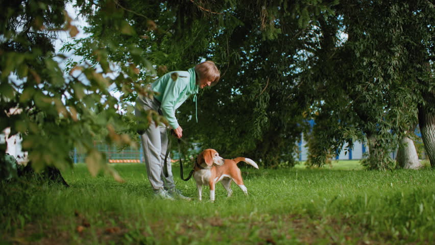Canine specialist standing up while instructing bulldog with hand signals to turn around on lush green grass field surrounded by trees during outdoor training session promoting discipline and trust