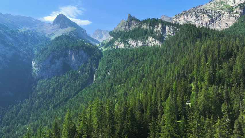 AERIAL: Dramatic landscape with steep alpine slopes covered in a dense forest of evergreen trees. Wild beauty of rugged, high mountain peaks in French part of the European Alps on a sunny summer day.