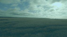 3D render showing social media notification bubbles floating above farmland under cloudy sky. Agriculture, rural, landscape, technology, digital, innovation, connectivity - Powered by Shutterstock - Get 15% off with code: PIKWIZARD15