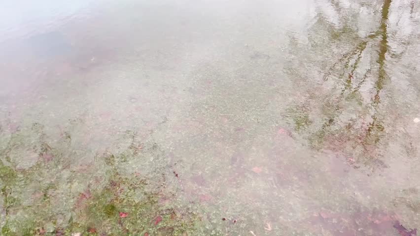 Puddle and one park bench in public park at rainy day.