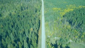 Animating blue notification bubble showing 47 users on forest road, overlaying white profile icons. Technology, connectivity, digital, network, communication, outdoor, landscape - Powered by Shutterstock - Get 15% off with code: PIKWIZARD15