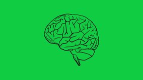 Line art hand drawn brain clockwise rotation, human mind health care and medical icon graphic animation on green screen background, 4k footage - Powered by Shutterstock - Get 15% off with code: PIKWIZARD15