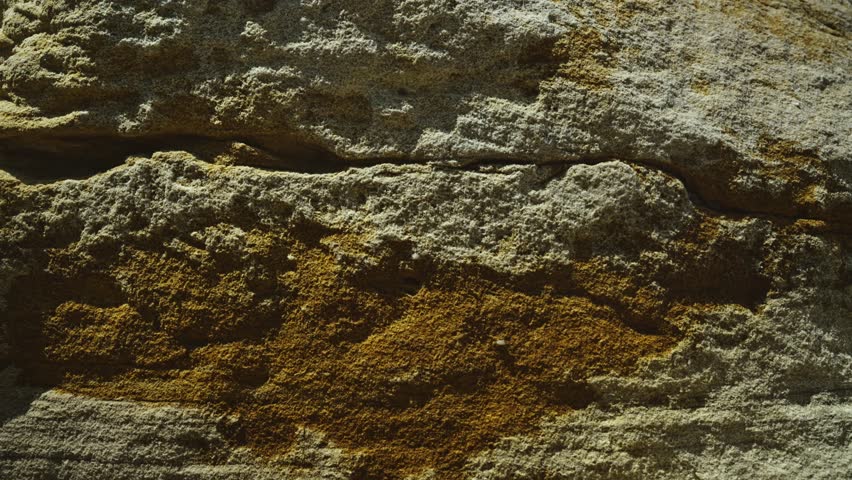 A textured close-up of sand-colored yellow-orange sandstone, showcasing its granular composition and warm earthy tones. Ideal for geological backgrounds or desert landscape themes.