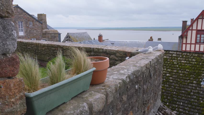 View from the Mont-Saint-Michel Abbey walls over the facade of a half-timbered house and tiled rooftops and seagulls on a windy spring day.