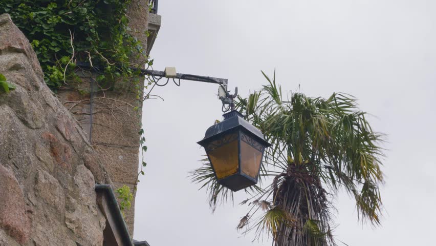 A palm tree and an old street lamp on the wall of a stone house sway in the strong wind. Mont-Saint-Michel, Normandy, France.