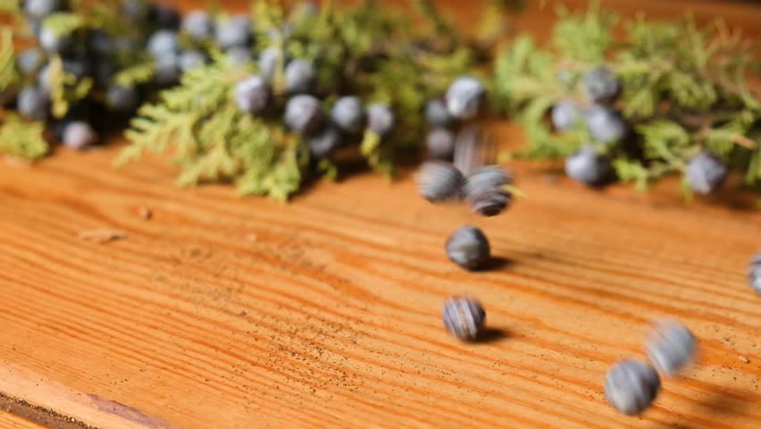 Many ripe blue juniper berries with light bloom falling onto a wooden table, accompanied by green juniper twigs. Medicinal plants and fruits captured in a rustic, natural setting.