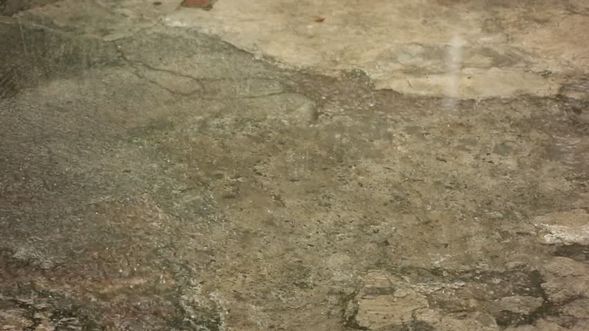 Close-up view of a wet concrete surface with visible cracks and texture.