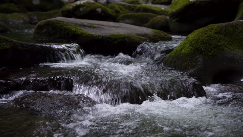 Detail video on river in Smoky Mountain National Park