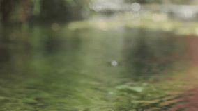 Gentle raindrops creating expanding circular ripples across calm water surface, reflecting surrounding green vegetation with mesmerizing patterns of light and shadow - Powered by Shutterstock - Get 15% off with code: PIKWIZARD15