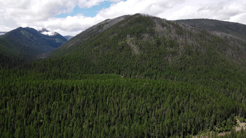 Drone Aerial camera flying along Montana in the Summer, Country Road Wilderness, Goat Lick Overlook
