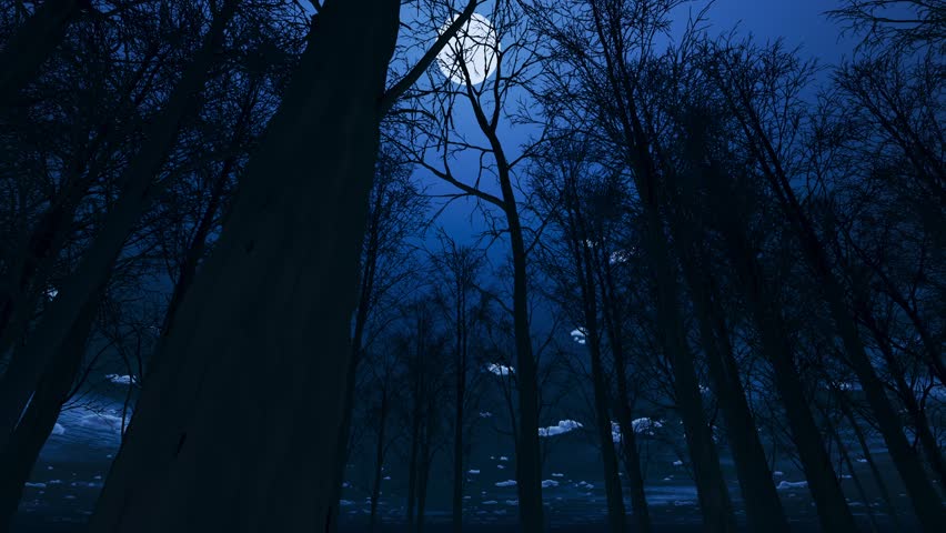 Night scene in a dark forest with dry trees 
and the moon shining brightly.