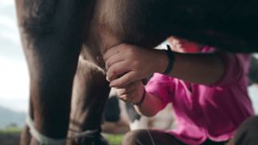 Natural, organic, farmer feeds calf with milk, feeds, eats by hand, farming like in the old days - Powered by Shutterstock - Get 15% off with code: PIKWIZARD15