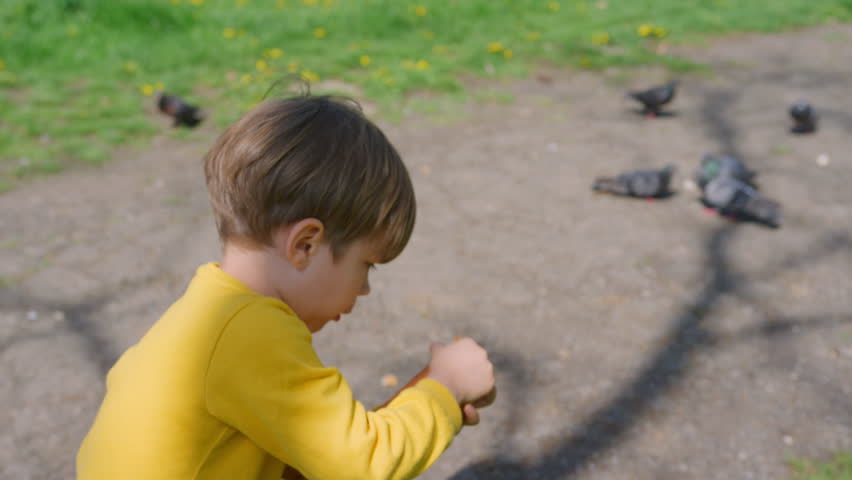 A young boy feeding pigeons during a family picnic.