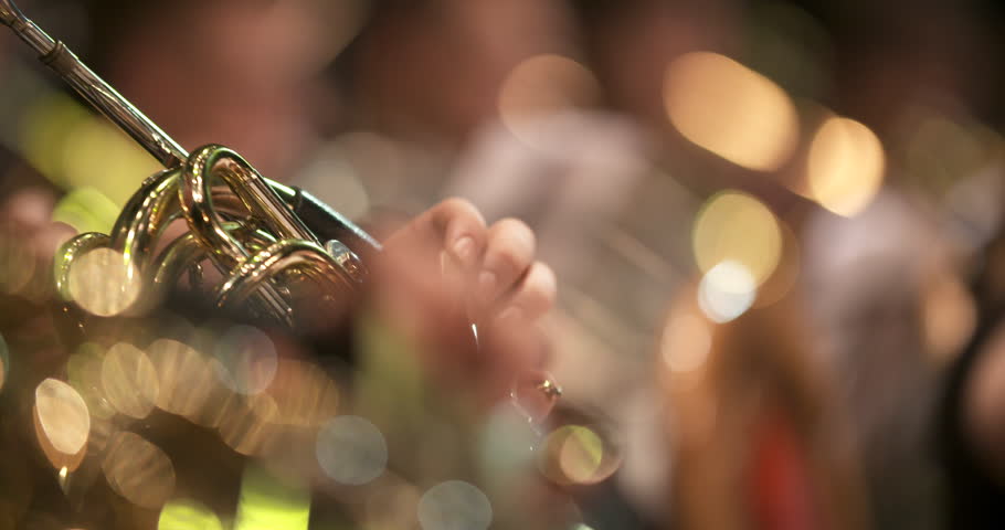 A man skillfully performs on the French horn during an elegant classical music concert setting.