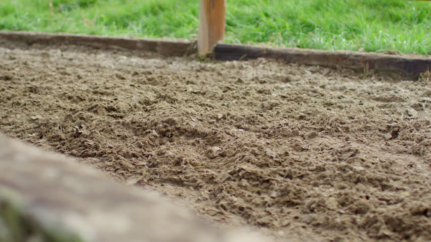 Close-up of horse hooves galloping on muddy ground.