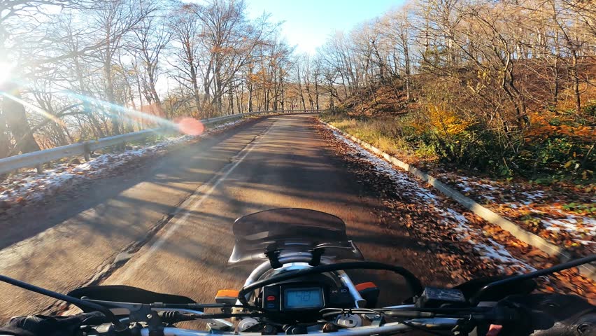 POV motorcycle ride through a scenic autumn forest on a paved road. Early frost, snow on the sides, golden sunset light shining through the trees.