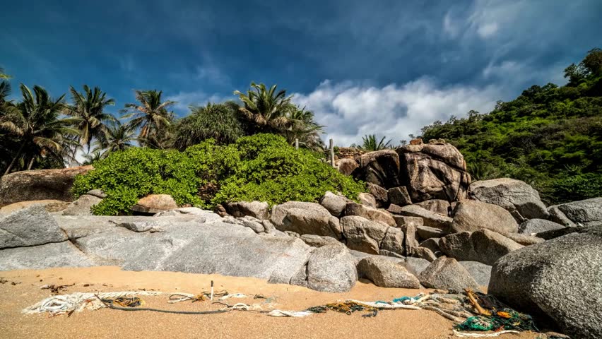 Tropical Beach Landscape with Granite Boulders and Lush Vegetation
