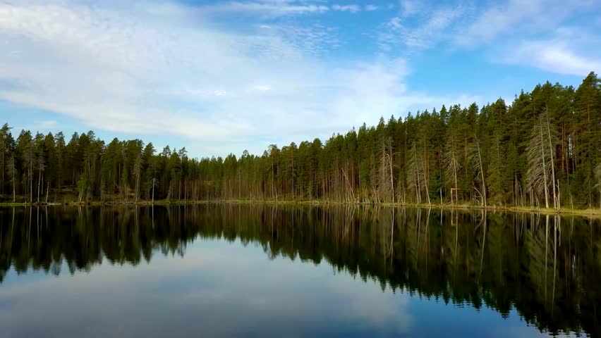 Serene Lake Reflection of Pine Forest Landscape